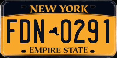 NY license plate FDN0291