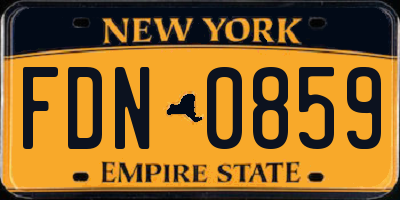 NY license plate FDN0859