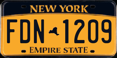 NY license plate FDN1209