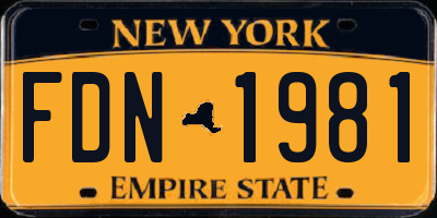 NY license plate FDN1981