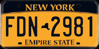 NY license plate FDN2981