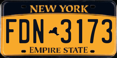 NY license plate FDN3173