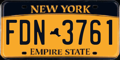 NY license plate FDN3761