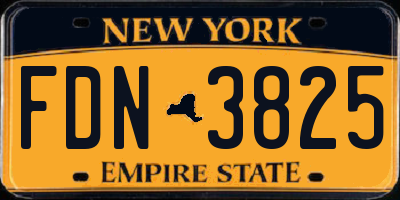 NY license plate FDN3825