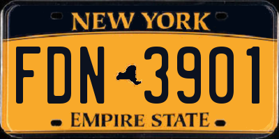 NY license plate FDN3901
