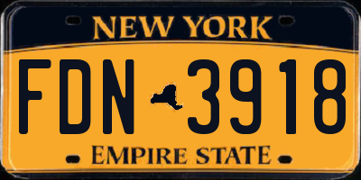 NY license plate FDN3918