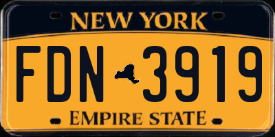 NY license plate FDN3919
