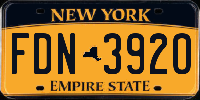 NY license plate FDN3920