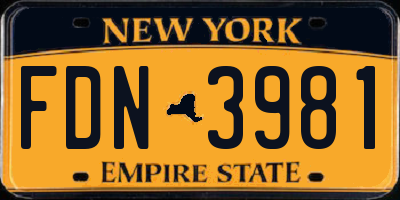 NY license plate FDN3981