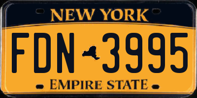 NY license plate FDN3995