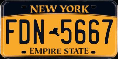 NY license plate FDN5667