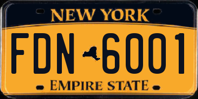 NY license plate FDN6001