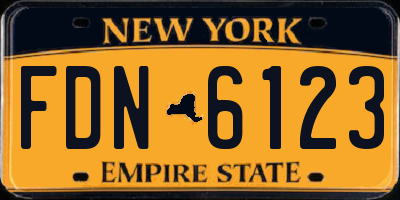NY license plate FDN6123