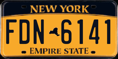 NY license plate FDN6141
