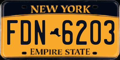 NY license plate FDN6203