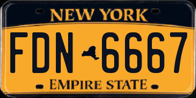 NY license plate FDN6667