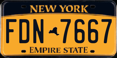 NY license plate FDN7667