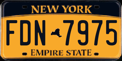 NY license plate FDN7975