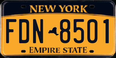 NY license plate FDN8501