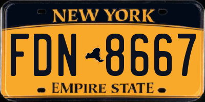 NY license plate FDN8667