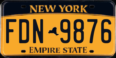 NY license plate FDN9876