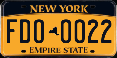 NY license plate FDO0022