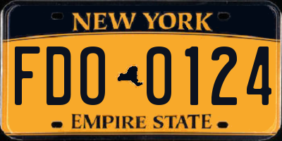 NY license plate FDO0124