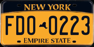 NY license plate FDO0223
