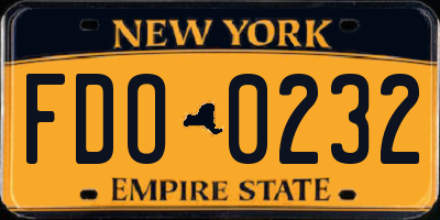 NY license plate FDO0232