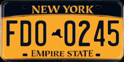 NY license plate FDO0245