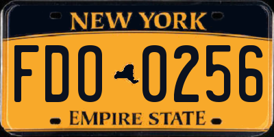 NY license plate FDO0256