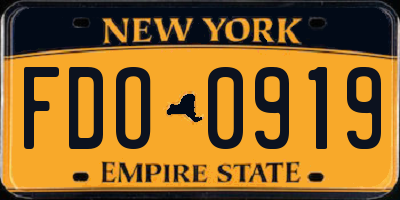NY license plate FDO0919