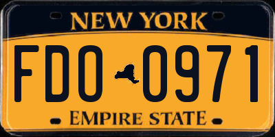 NY license plate FDO0971
