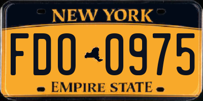 NY license plate FDO0975
