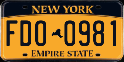 NY license plate FDO0981