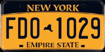 NY license plate FDO1029