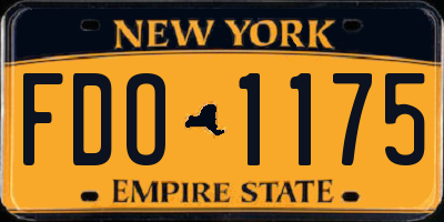 NY license plate FDO1175