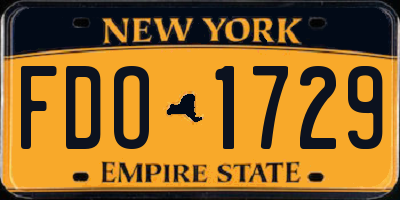 NY license plate FDO1729
