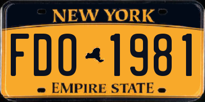 NY license plate FDO1981