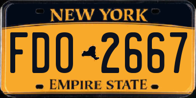 NY license plate FDO2667