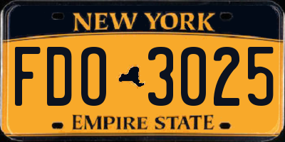 NY license plate FDO3025