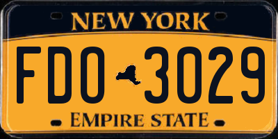 NY license plate FDO3029