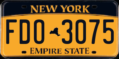 NY license plate FDO3075