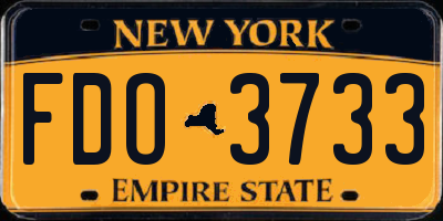 NY license plate FDO3733