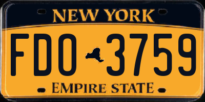 NY license plate FDO3759