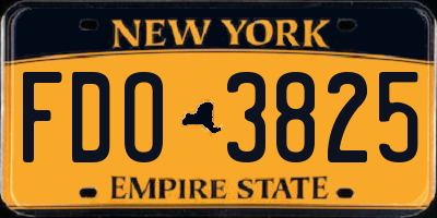 NY license plate FDO3825