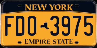 NY license plate FDO3975