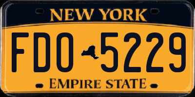 NY license plate FDO5229