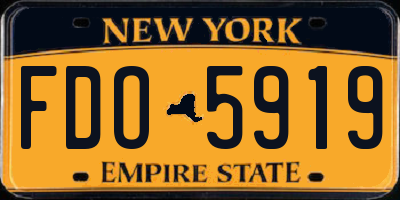 NY license plate FDO5919