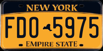 NY license plate FDO5975